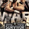 WWE Survivor Series: WarGames (2025)